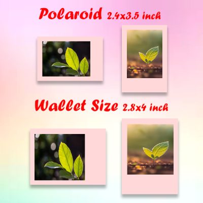 Wallet Size / Polaroid Size 200pcs Free Album
