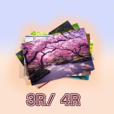 3R/4R 100pcs FREE 1pcs Album